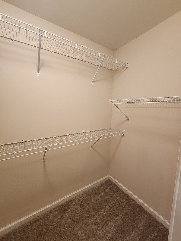 Building Photo - 807 Country Park Dr