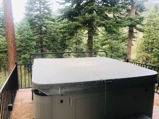 Building Photo - Fully Furnished Incline Home