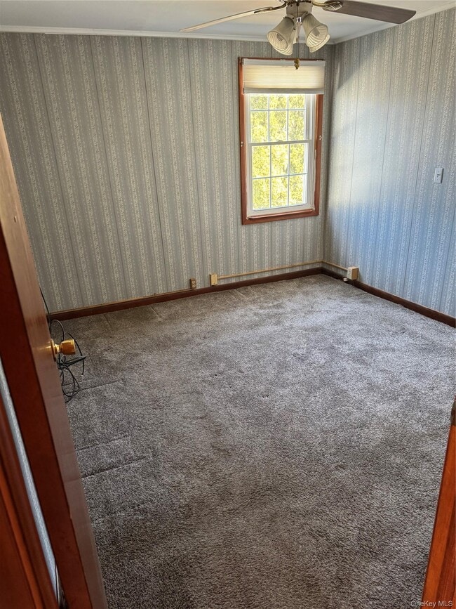 Building Photo - 61 Delafield St