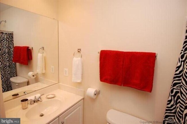 Master Bath #2 - 650 9th St SW