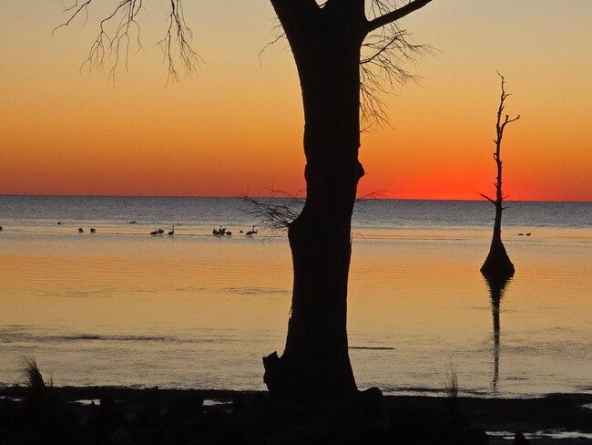 Building Photo - 2 Bedroom 1 Bath Home in Jarvisburg $1895/mo