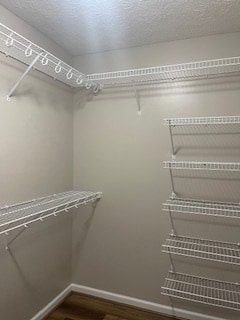 Building Photo - 421 Porter Dr