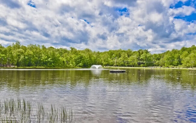 Building Photo - 141 Tommy's Ln