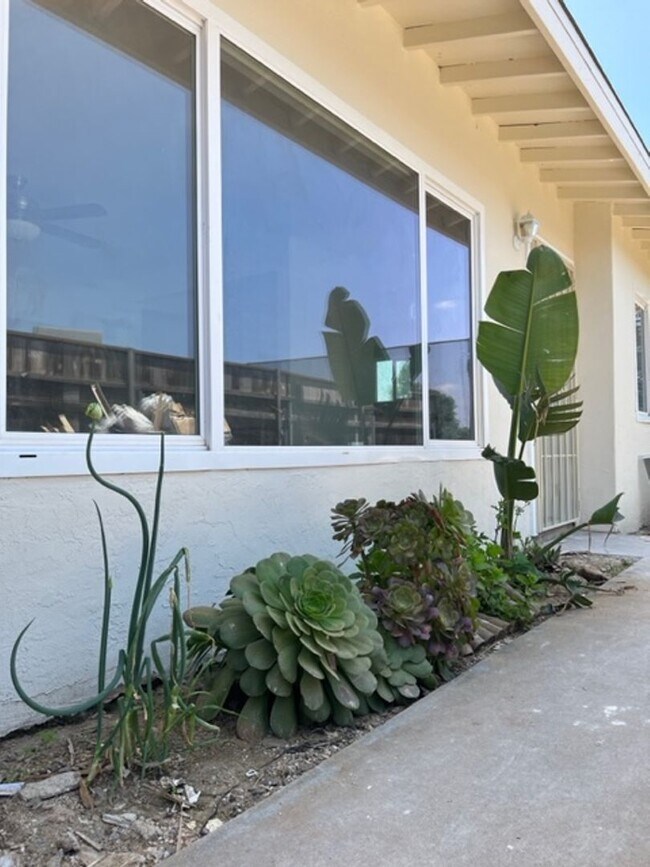 Building Photo - Coleen Ct | 1/2 OFF 1ST MONTH'S RENT SPECI...
