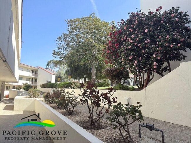 Building Photo - Remodeled 1 Bedroom in Monterey!