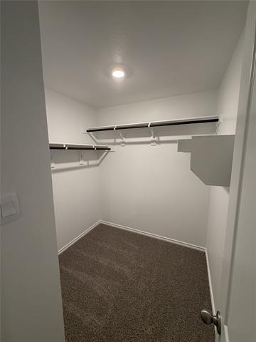 Building Photo - 729 Lantana Ln