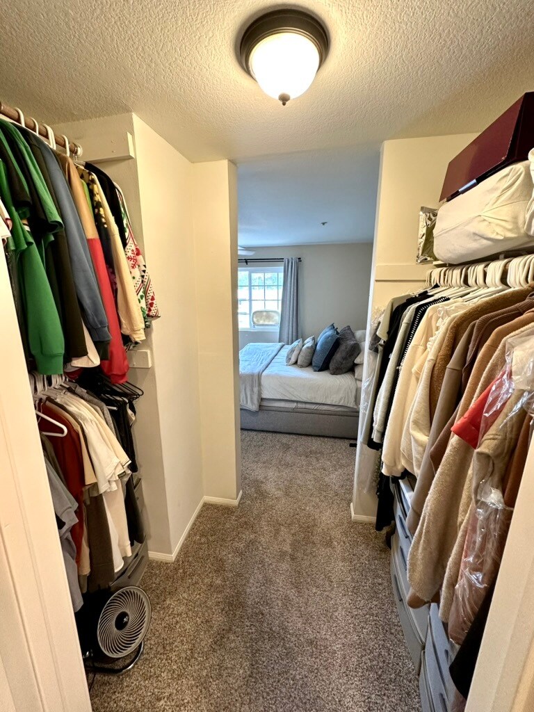 Building Photo - 537 N Adams St