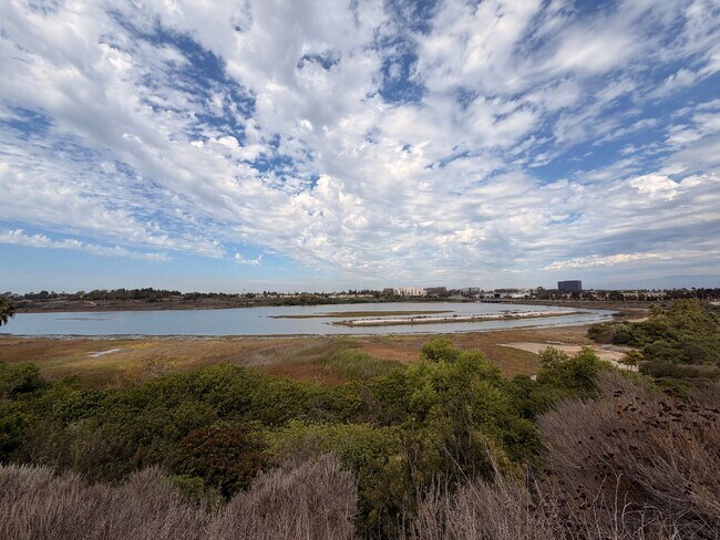 Building Photo - Beautiful 3 Bedroom, 2.5 Bathroom Newport ...