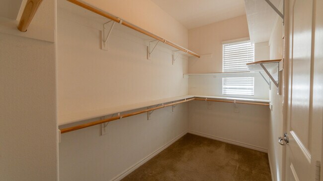 Building Photo - 570 Calle Vibrante