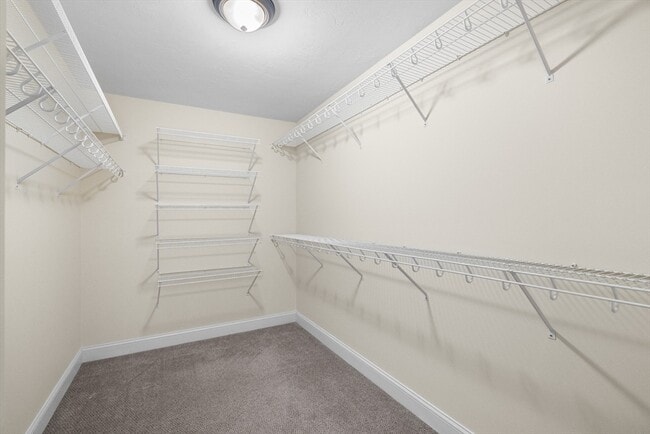 Building Photo - 11 Checkerberry Ln