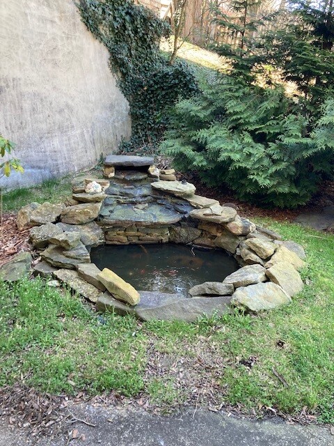 yard with garden pond - 529 S Centre St