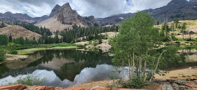 Building Photo - 12082 E Big Cottonwood Cyn Rd