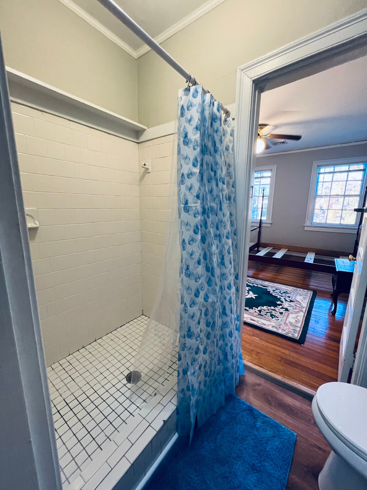 Bathroom and shower with Skylight - 1130 W Grace St