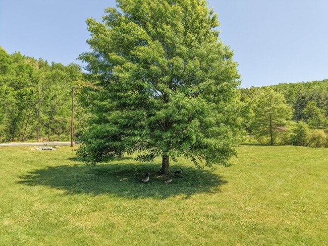 Building Photo - Discover the most affordable home in Belle Forest, located in Nashville's highly coveted 37221 zi...