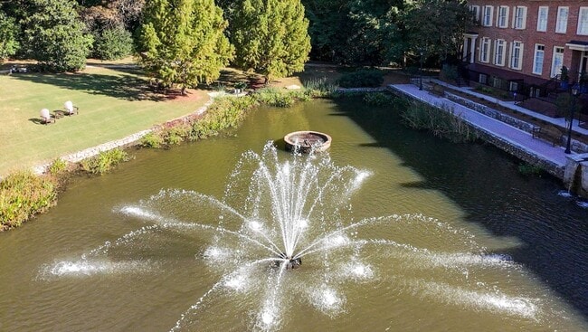Building Photo - Luxury Treetop Penthouse
