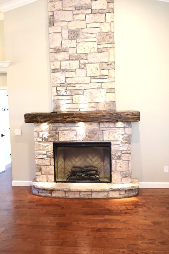 Building Photo - 4 bed, 2 bath pool home in Citrus Park