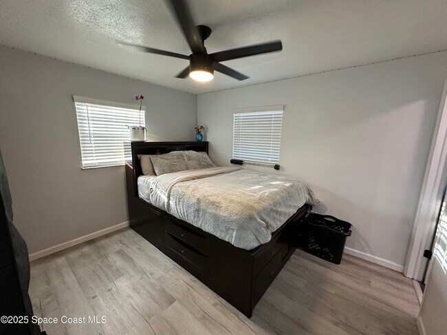 Building Photo - 3782 Catalina Dr