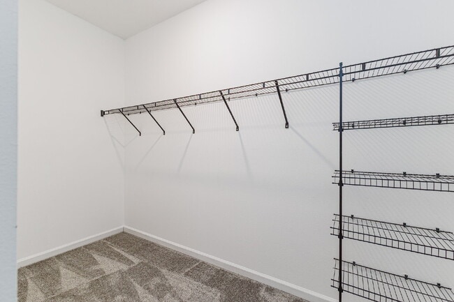 Building Photo - 507 Patton Lp