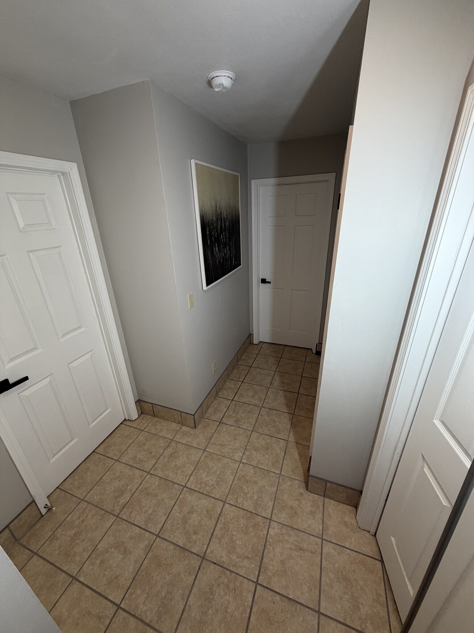 Building Photo - 285 1/4 Walnut St