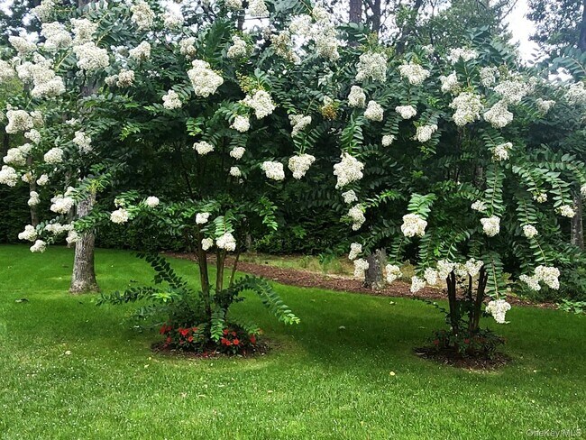 Building Photo - 99 Spinney Rd