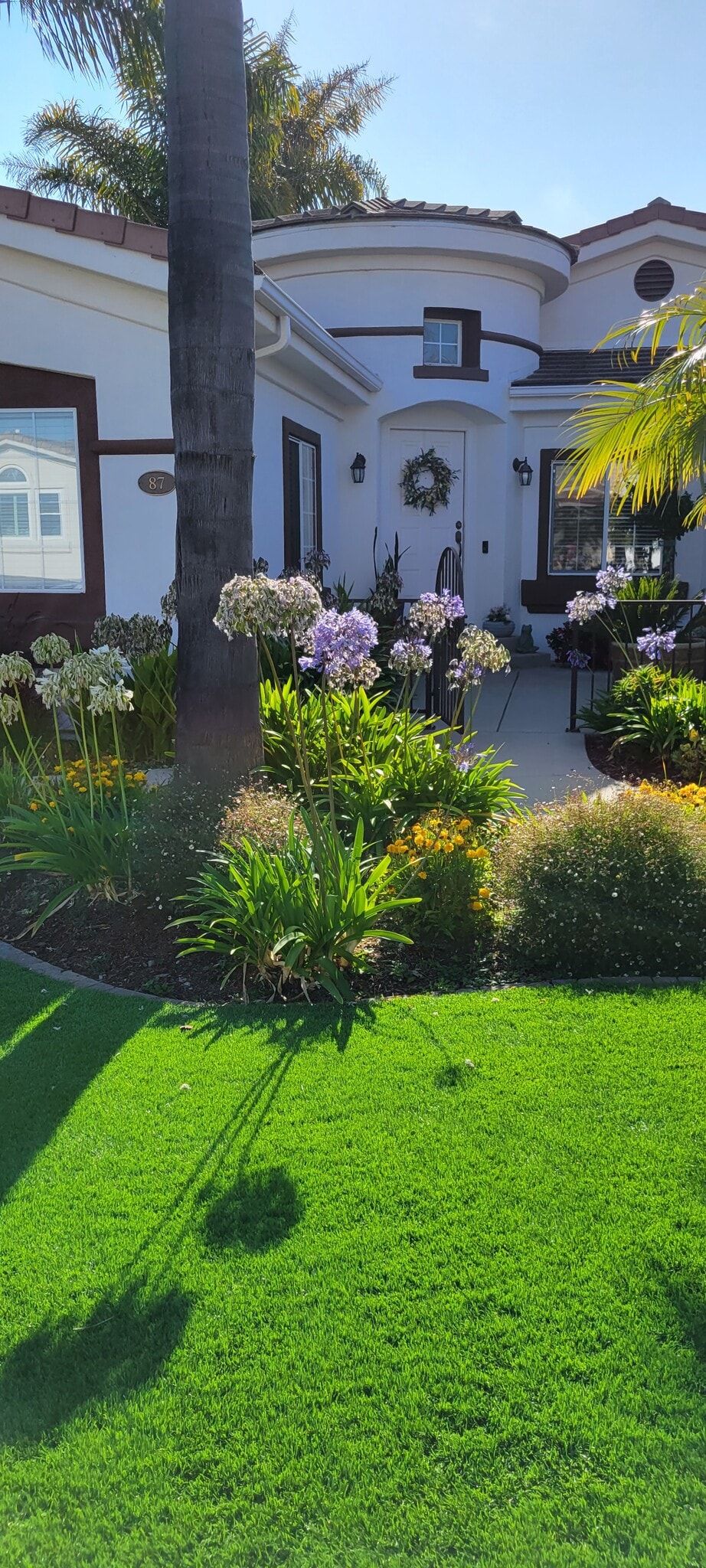 Building Photo - 87 Capanna St