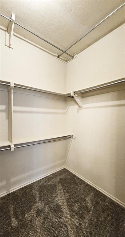 Building Photo - 4117 Gyrfalcon Dr