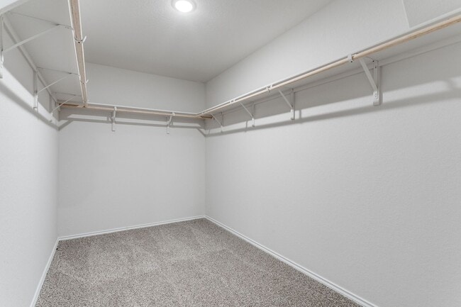 Building Photo - 1714 Kolbe Trl