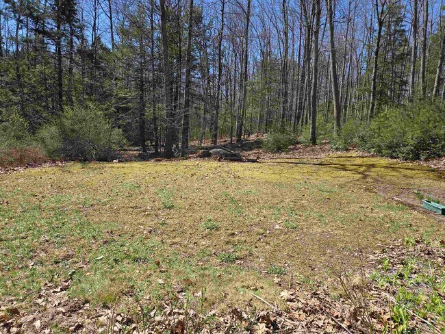 Building Photo - 43 Casalis Rd