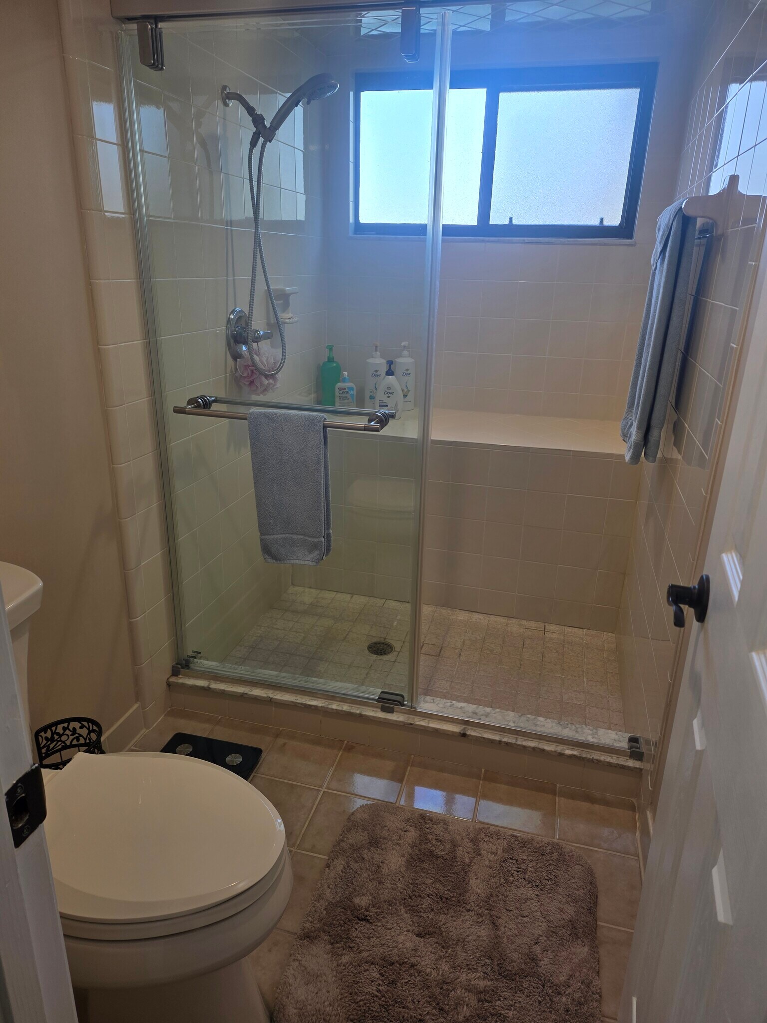 Master Shower and Elongated Toilet - 113 Golden Eye Dr