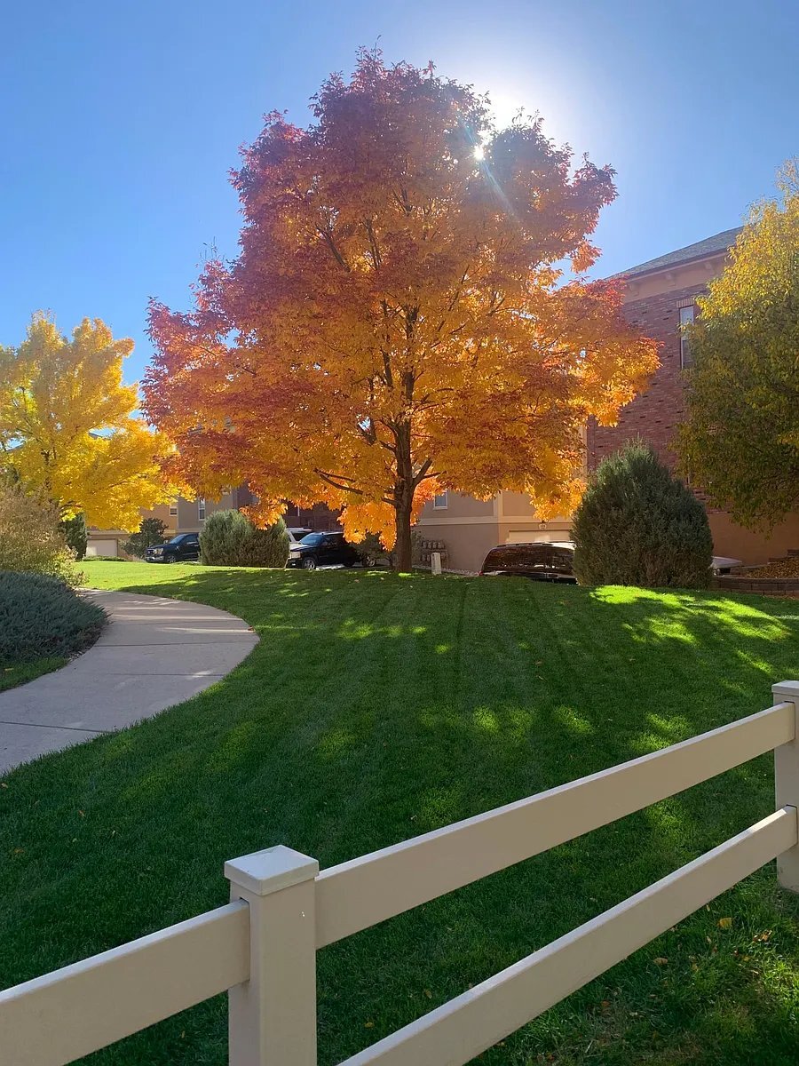 Building Photo - 2803 Kansas Dr