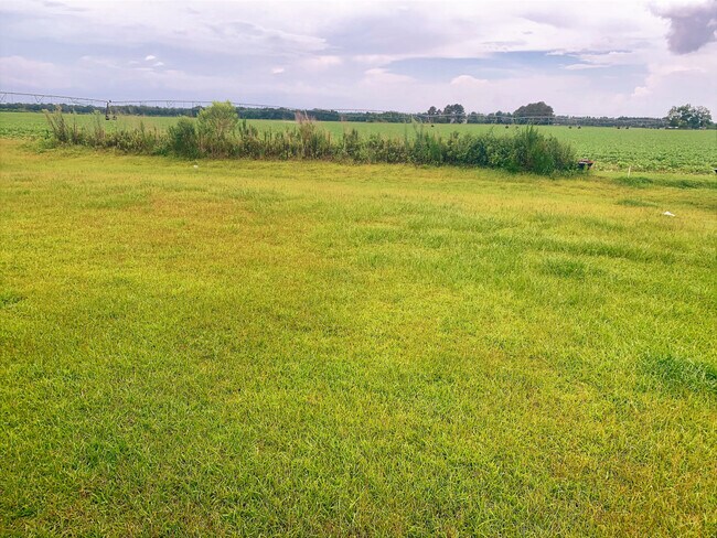 Building Photo - Marem Dr.