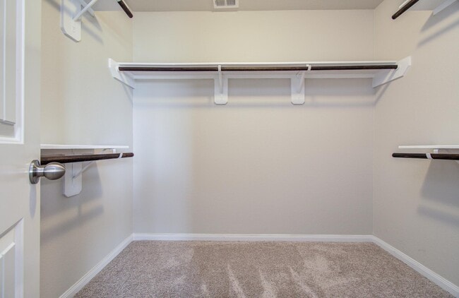 Building Photo - 3706 Otello Pl