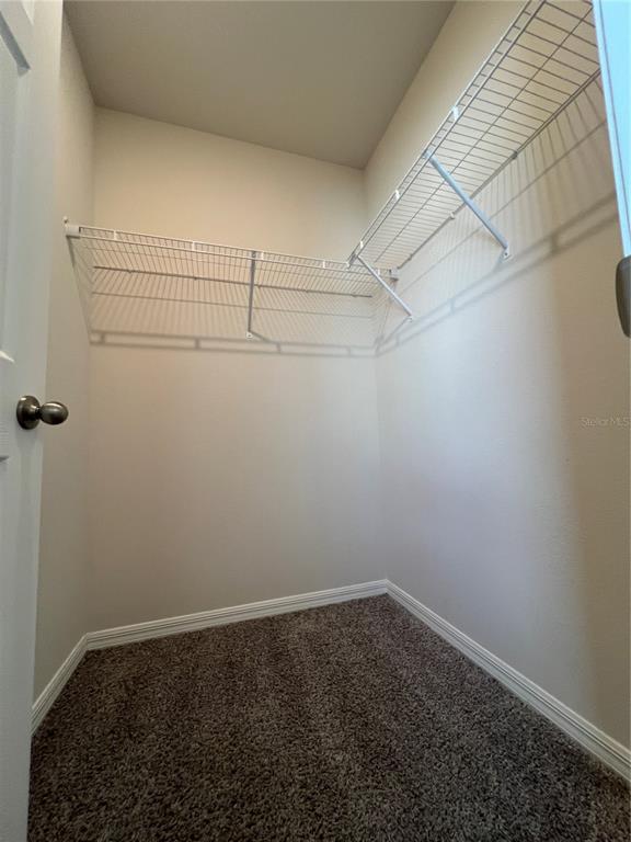 Building Photo - 17245 Cagan Crossings Blvd