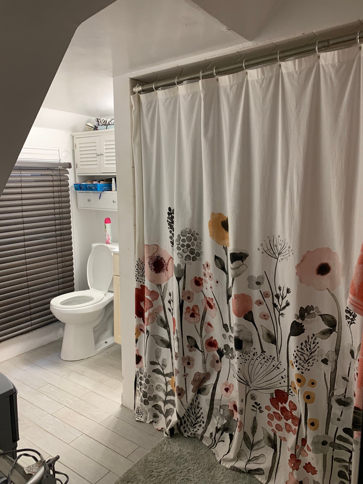 Building Photo - 16 Falkland St