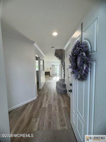 Building Photo - 16 Gerard Pl