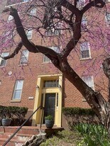 412 3rd Front - McTory