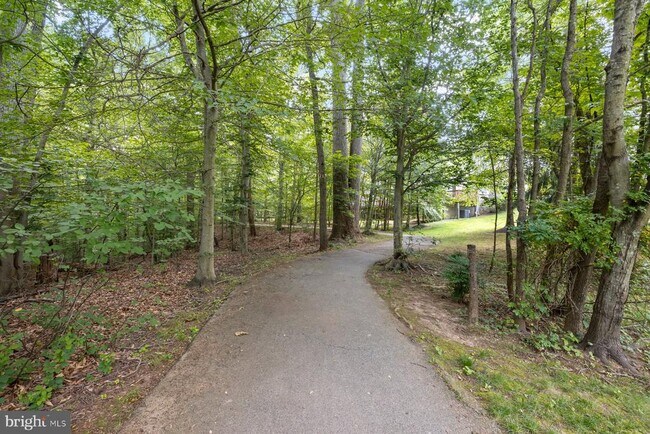 Building Photo - 805 Thicket Ct