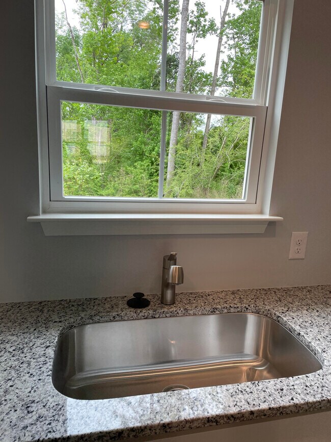 Kitchen Sink - 3021 Portico Ct