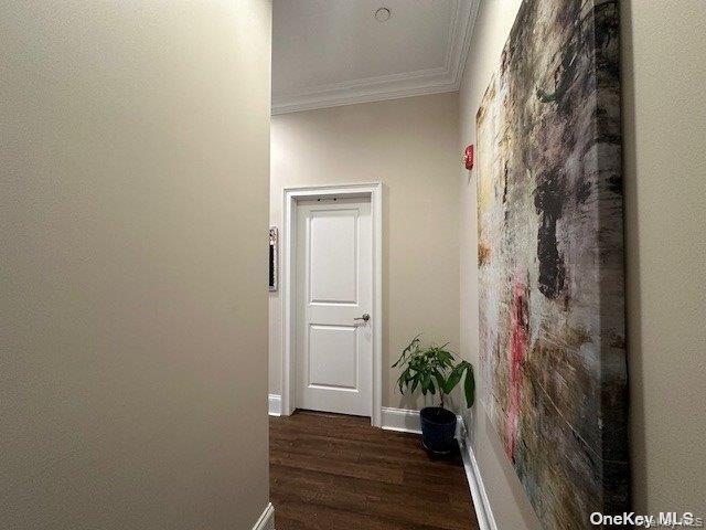 Building Photo - 50 Stewart Ave