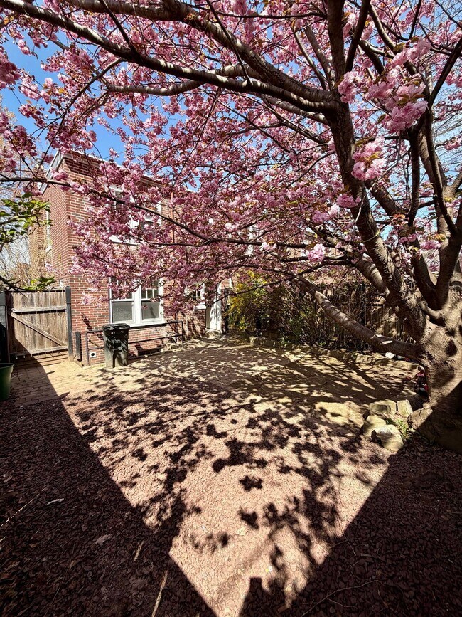 Building Photo - 738 E Madison St