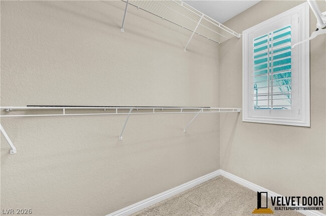 Building Photo - 3013 Camino Sereno Ave