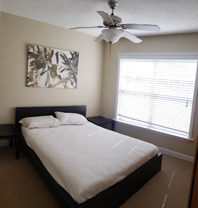 Building Photo - 2071 Dixie Belle Dr