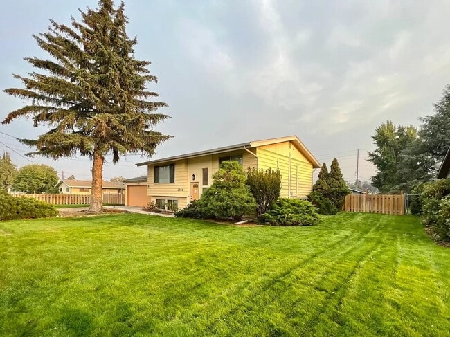 Primary Photo - Large 4 Bed, 2 Bath House Available For Rent*