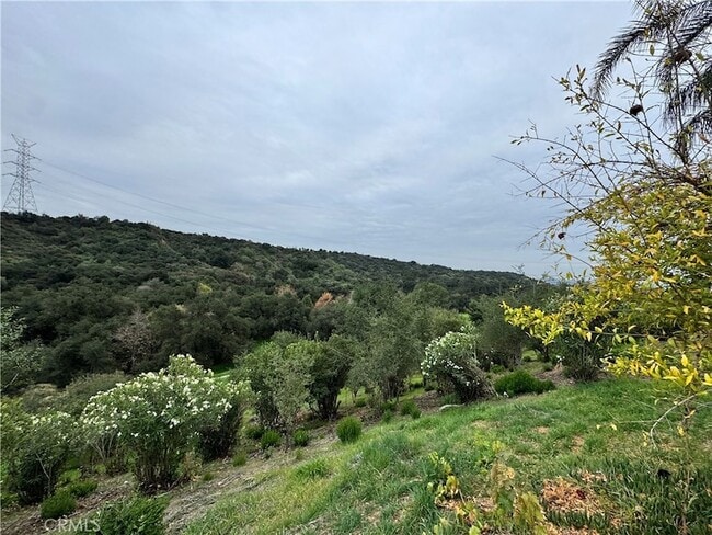 Building Photo - 2142 Iron Club Dr