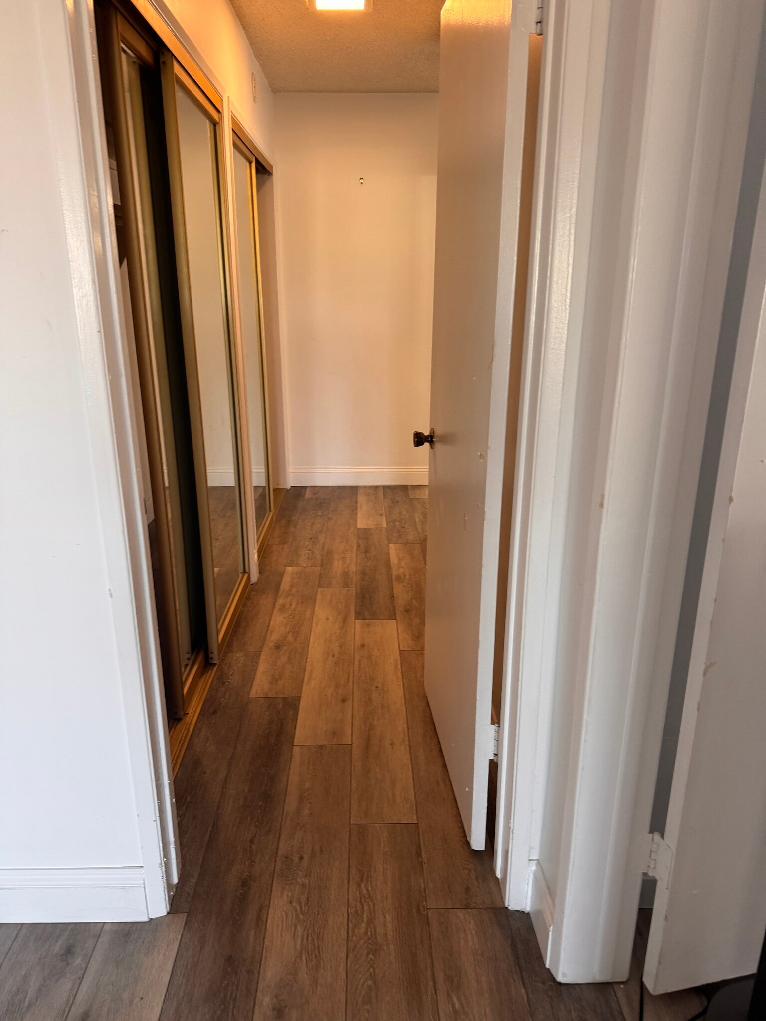 Closet lined hallway to master - 8701 Delgany Ave