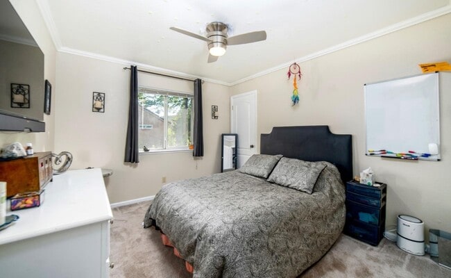 Building Photo - 3293 Woedee Dr