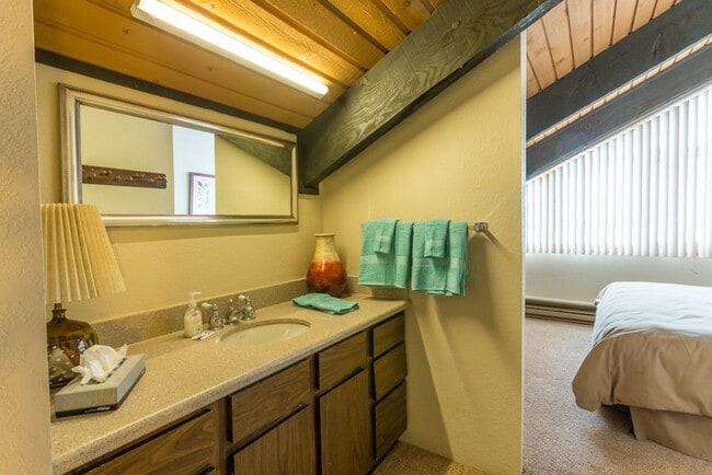 Building Photo - 2 bedroom/2 bathroom condo in Mount Crested Butte