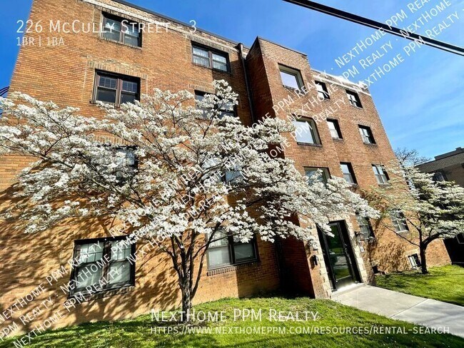 Building Photo - 226 McCully St