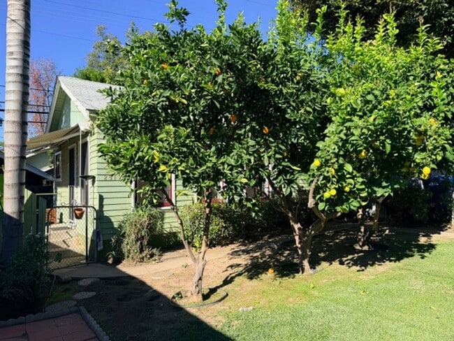 Building Photo - 251ivy