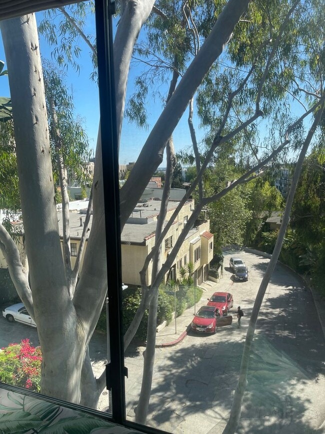 Building Photo - Hollywood Luxury 2 Bed Condo!